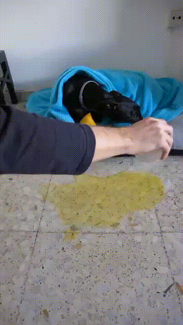 Encabezado